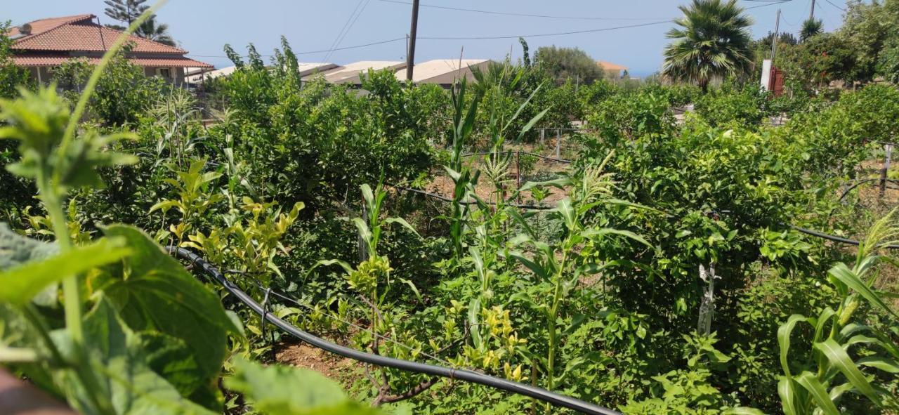 Apartamento Rontaki Farm Kyparissia Exterior foto